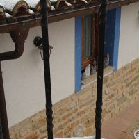 IMG_0602